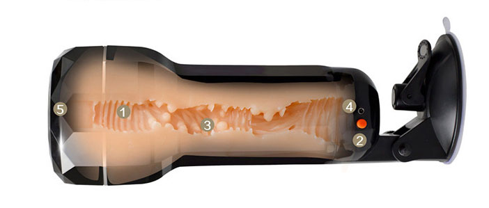 Shop bán Âm đạo giả hít tường MX cao cấp chính hãng  Shop bán Âm đạo giả hít tường MX cao cấp chính hãng